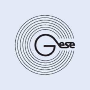 GSENetwork 